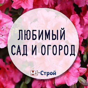 МВ-Строй