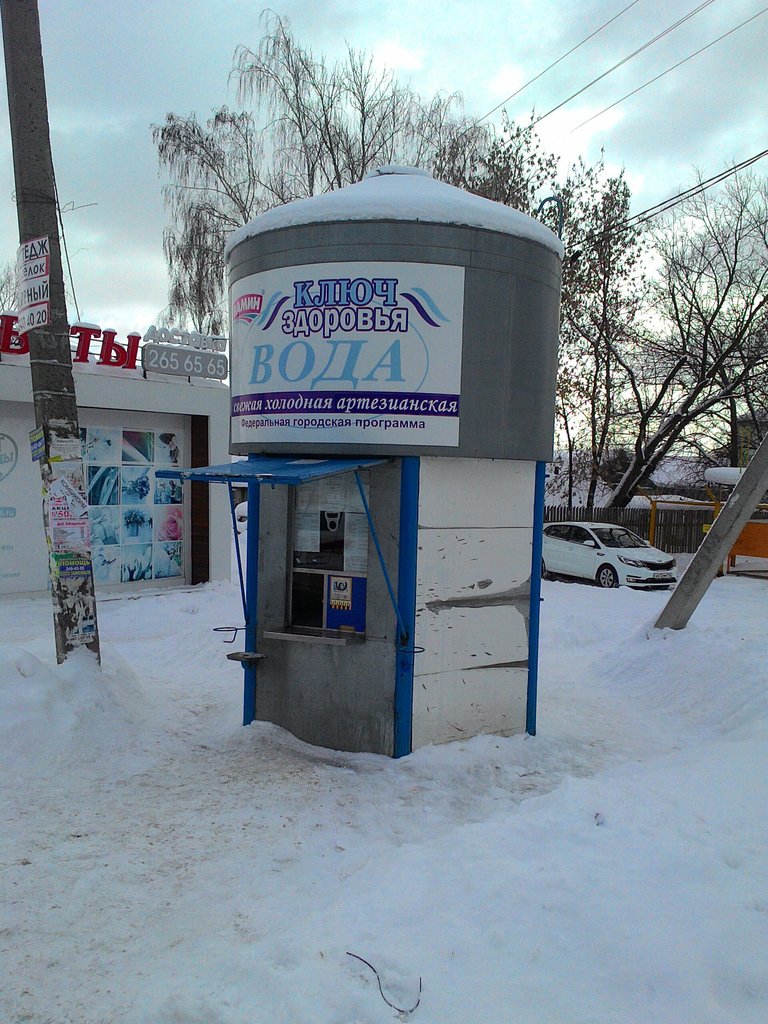 Ключ здоровья | Казань, Россия, Республика Татарстан, Казань, Ново-Давликеевская улица